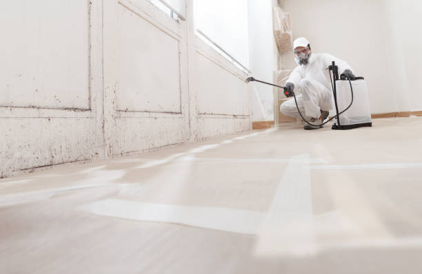 24/7 Emergency Mold Remediation experts in Springfield, KY