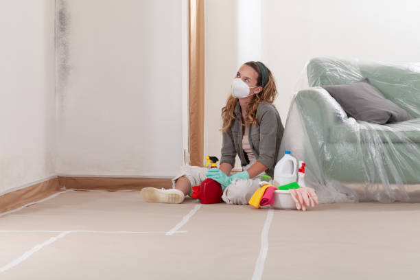 Reliable Mold Remediation contractor in Springfield, KY by 24 Hour Mold Removal